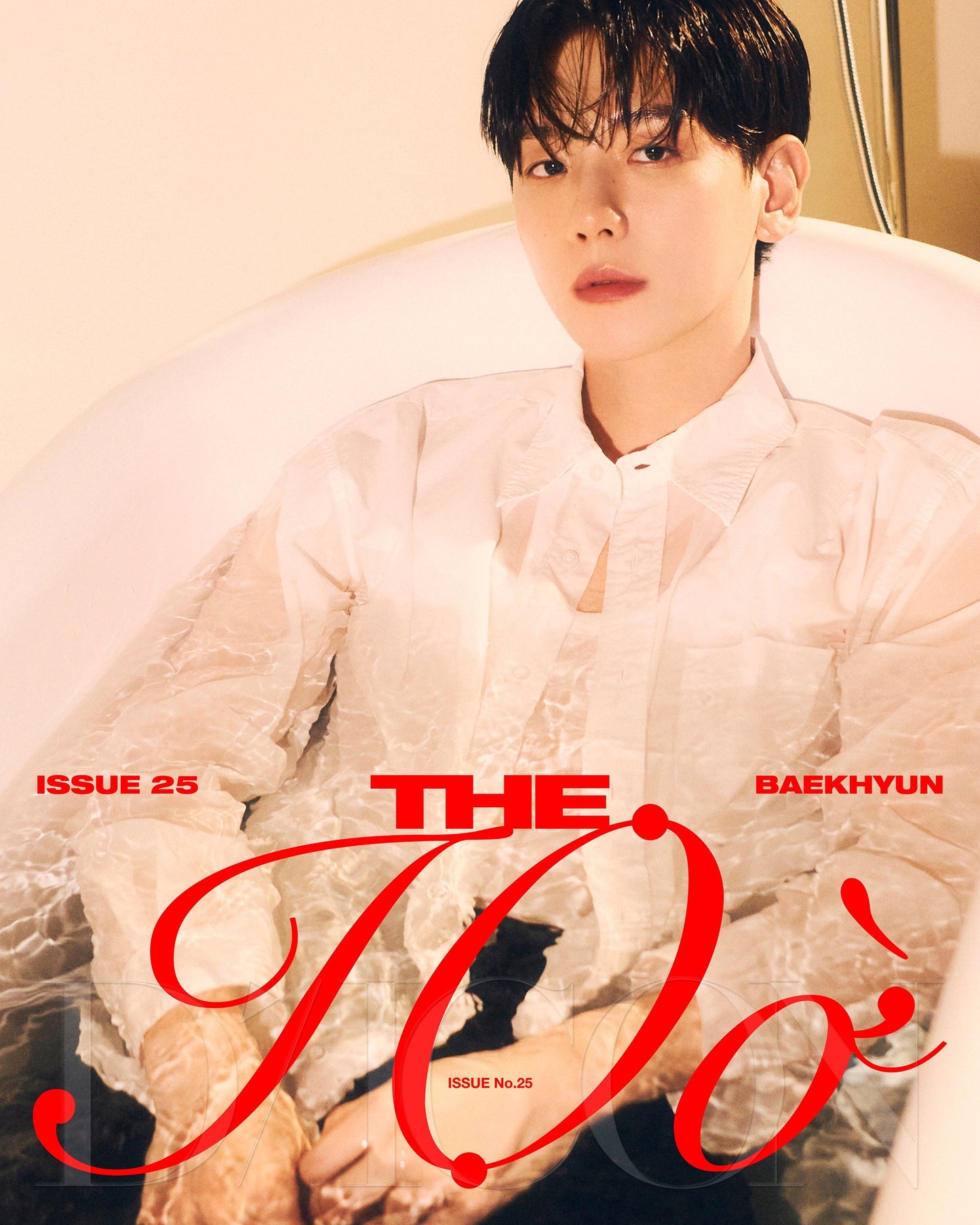 BAEKHYUN - DICON VOLUME N25 D TYPE - COKODIVE