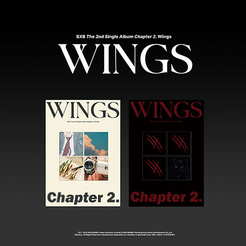 BXB - CHAPTER 2. WINGS 2ND SINGLE ALBUM - COKODIVE