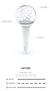 ONLYONEOF - OFFICIAL LIGHT STICK FROMM STORE GIFT VER. - COKODIVE